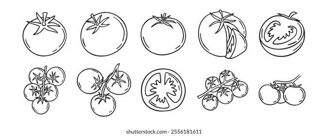 Tomato vegetable sketch doodle hand drawn icon set. Outline drawing fresh tomato line clipart symbol. Vector illustration