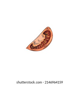Pieza vegetal de tomate, ilustración vectorial de color dibujada a mano aislada en fondo blanco. Parte de la fruta del tomate en forma de boceto, elemento vegetariano de la comida natural.