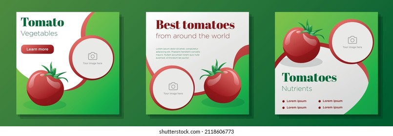 Tomato vegetable social media post, square banner set, red tomatoes healthy food advertisement concept, vegan vitamines marketing ad, abstract print, isolated on background.