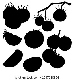 Tomato, vegetable, vector