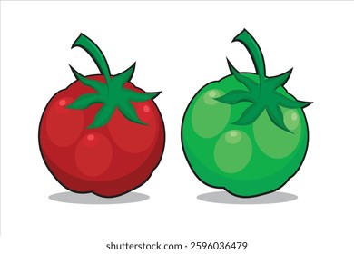 Tomato vegetable vector. Food vegetable illustration from healthy and fresh vegetables for body health