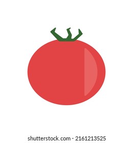 tomato vegetable vector illustration colored.