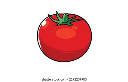 Tomato vegetable vector illustration design for your projects