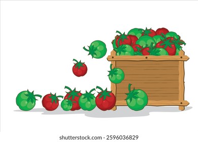Tomato vegetable vector. Illustration of tomato vegetables in a basket. Healthy food from fresh tomato fruits for body health