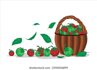 Tomato vegetable vector. Illustration of tomato vegetables in a basket. Healthy food from fresh tomato fruits for body health