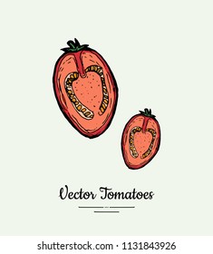 Tomato vegetable vector isolate. Red half cutted tomatoes. Vegetables hand drawn illustration. Trendy food vegetarian ripe tomatoes icon logo poster, banner, sketch style. Vector illustration isolated