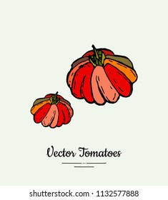 Tomato vegetable vector isolate. Red whole tomatoes. Vegetables hand drawn illustration. Trendy food vegetarian ripe red tomatoes icon logo poster, banner, sketch style. Vector illustration isolated