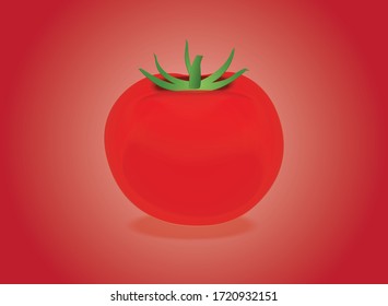 Tomato vegetables in background vector