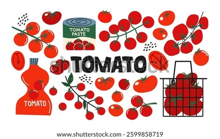 Tomato vegetables set. Cartoon various types of tomatoes, ketchup and tomato paste. Fresh and vibrant food illustration, agriculture harvest and culinary concept