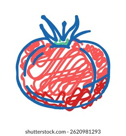 tomato vitamin vegetable doodle icon sketch vector. tomato vitamin vegetable sign. isolated symbol illustration