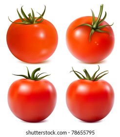 Tomato with water drops. Photo-realistic vector illustration.