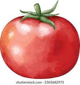 tomato watercolor illustration isolated element