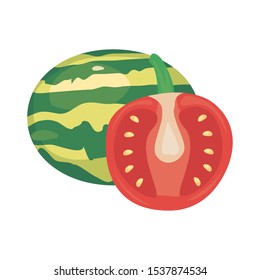 tomato watermelon fresh food vector illustration design