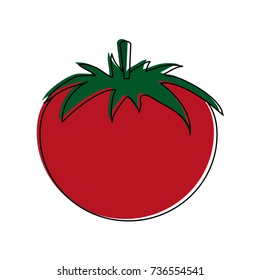 tomato whole fruit icon image 