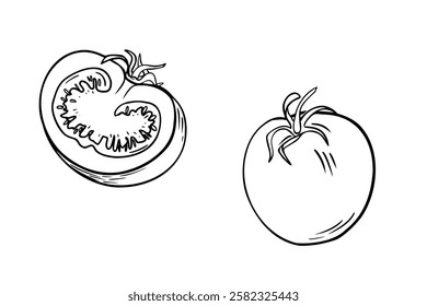 Tomato whole and half black white vector illustration. Tomato monochrome simple style drawing. Tomato line art painted. Tomatoes contour for menu, sign border, label. Vegetable coloring sketch.