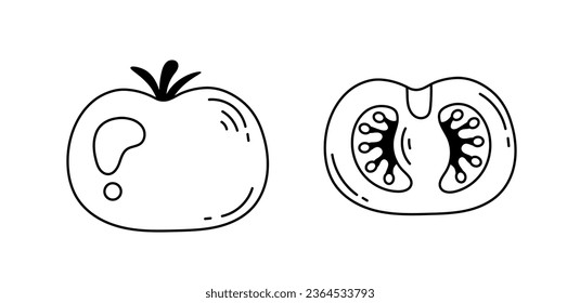 Tomato whole and half doodle illustration. Vector illustration of line art tomato. Food ingredient symbol, sign, icon.