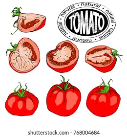Tomato. A whole tomato and slices. A set of vegetables. Flat graphic design elements. Vector illustration isolated on white background. Great for label, poster, printing