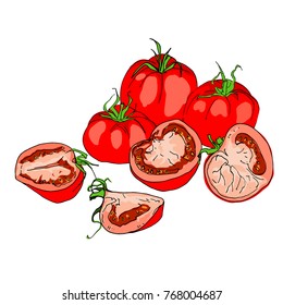 Tomato. A whole tomato and slices. A set of vegetables. Flat graphic design elements. Vector illustration isolated on white background. Great for label, poster, printing