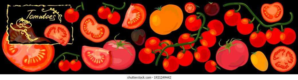 Tomatoes background. Varieties including yellow and cherry tomatoes. Vector Illustration