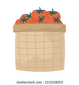 tomatoes basket design over white