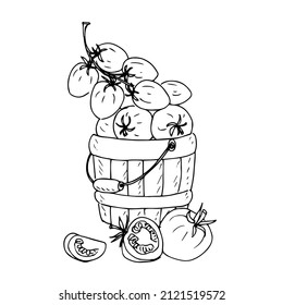Tomatoes in a basket .Doodles ,vector,black and white illustration,coloring book for adults and children.