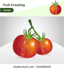 Tomatoes are beautiful but they are broken.