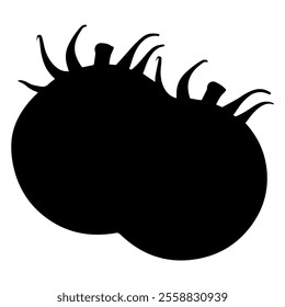 Tomatoes. black and white drawing. vector graphics in simple style. silhouette of vegetables	