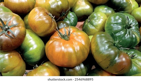 Tomatoes in a box. Tomatoes in the supermarket. Juicy vegetables background. Useful vegetables. Vitamins for health. Tomatoes background.