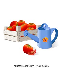 tomatoes in a box, watering, harvest. vector illustration