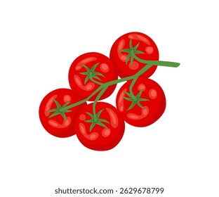Tomatoes branch isolated on white background. Top view. Vector cartoon flat illustration