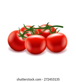 Tomatoes branch isolated on white photo-realistic vector illustration