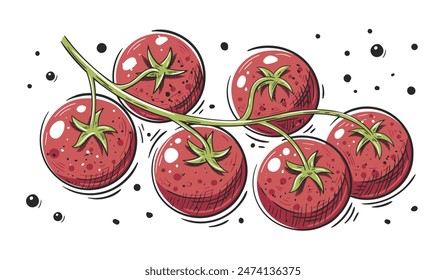 Rama de tomates con especias aisladas sobre fondo blanco. Icono de tomate en estilo de dibujos animados. Ilustración vectorial