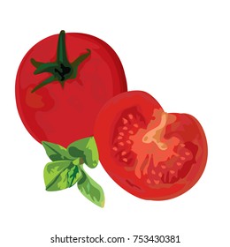 Tomatoes and a brunch of mint vector illustration on a white background