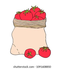 Tomatoes in a canvas bag. Hand drawn vector sketch.