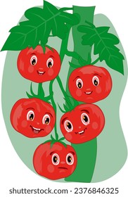 Tomates, ilustración vectorial de dibujos animados. Varios tomates de dibujos animados con caras sonrientes en una rama, ilustración vectorial 