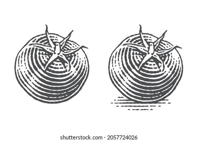 Tomatoes, cherry tomatoes. Hand drawn engraving style illustrations. Vector illustration.