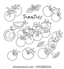 Tomaten Clipart. Kirschtomaten, Tomatenscheiben, Basilikum. Vektorillustration. In: Line Art.