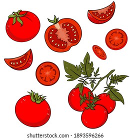 Tomatoes in color, isolated object on white background, vector illustration