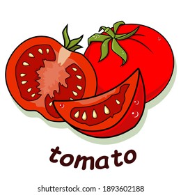 
Tomates en color, objeto aislado en fondo blanco, ilustración vectorial