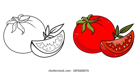 
Tomatoes in color and without color in outline, isolated object on white background, vector illustration