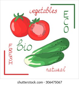 tomatoes cucumbers isolated on white with words