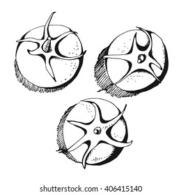 Tomatoes drawing, vector set, freehand three tomatoes isolated on white background