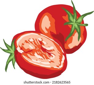 Tomatoes drawing in vectors art