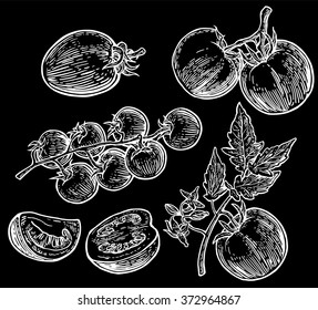  Tomatoes. Engraving vintage vector white illustration. Isolated on black background. Hand drawn design element for label and poster