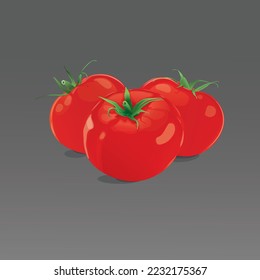 Tomatoes FOOD ART VECTOR OBJECT