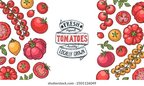 Tomatoes frame. Hand drawn illustration. Tomato vegetable. Organic tomato design template. Vector illustration. Package design elements.	