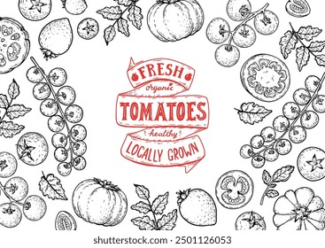 Tomatoes frame. Hand drawn illustration. Tomato vegetable sketch. Organic tomato design template. Vector illustration. Package design elements.
