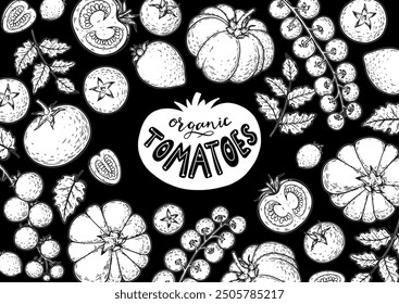 Tomatoes frame. Hand drawn illustration. Tomato vegetable sketch. Organic tomato design template. Vector illustration. Package design elements.