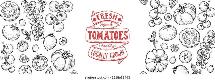 Moldura de tomates. Ilustração desenhada à mão. Esboço vegetal de tomate. Modelo de design de tomate orgânico. Ilustração vetorial. Elementos de design de pacote.