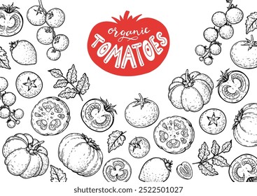 Marco de tomates. Dibujado a mano ilustración. Croquis de vegetales de tomate. Plantilla de diseño de tomate orgánico. Ilustración vectorial. Elementos de diseño del paquete.